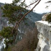 Silvestrovský Tomašák