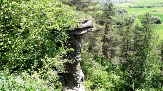 Markušovský skalný hríb