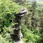 Markušovský skalný hríb