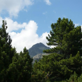 V pozadí Štrbský štít