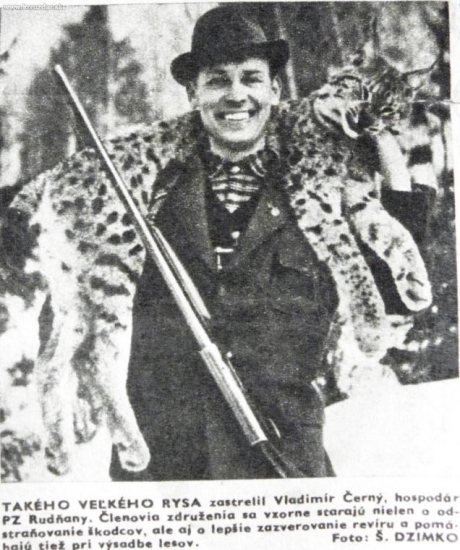 Rys Vlada Čierného