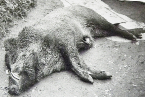 Dedkov najväčší úlovok