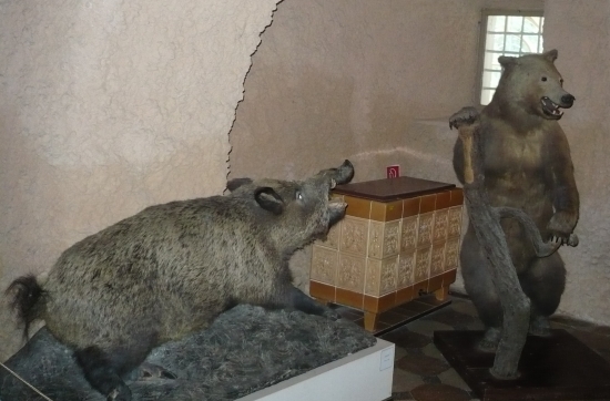 Divak utočí na medveďa