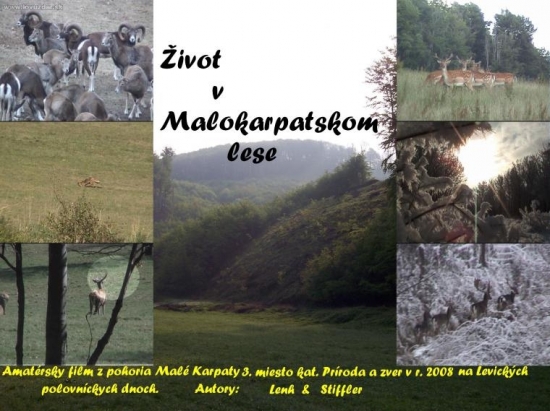 Život v Malokarpatskom lese