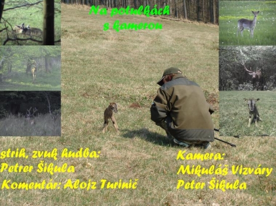 Na potulkách s kamerou