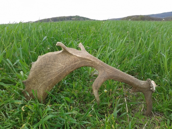 V stredu najdeny v praci