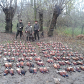 Hosťovská  poľovačka