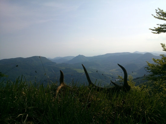 ked sa stastie unavilo...