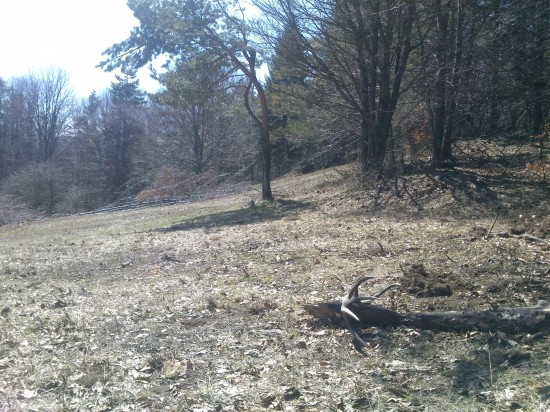 Pocestna dvanastka...