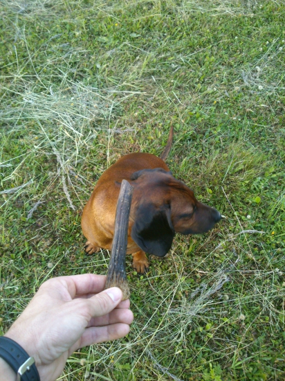 Ked sa hambi za to co nasiel :-D :-D