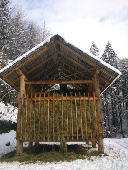 jeden z dvoch gigantov v PS Homôlka