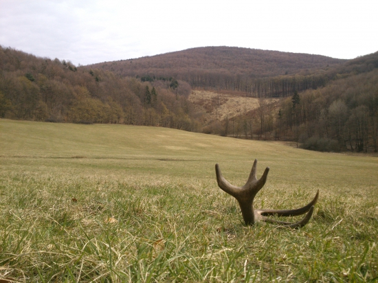 ked si vsetci rozmylia?!?!ci pojdu cez vykend na ,,lucaky,,