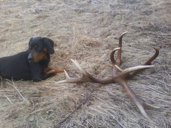 kde by sme ešte niečo našli?