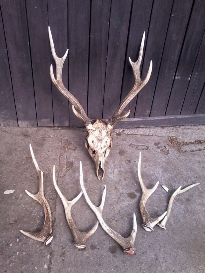 na zhodoch u kamaráta