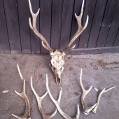 na zhodoch u kamaráta