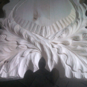 Bude pod preparát muflóna