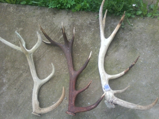 tieto treba nafarbiť