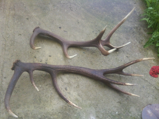 a takto vyzerajú nafarbené