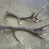 a takto vyzerajú nafarbené