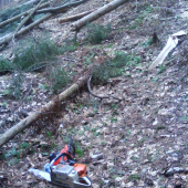 tri krat som okolo neho presiel