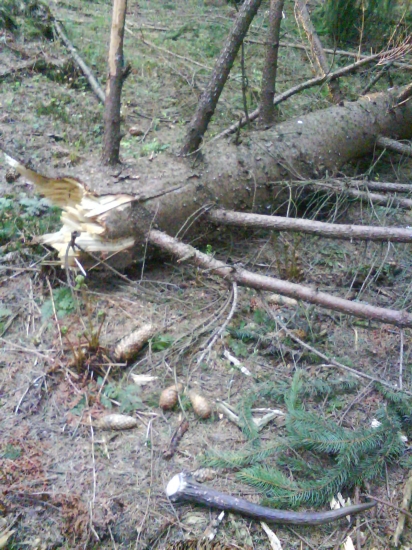 aj takýto poteší,tak ako som ho našiel