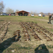 Výrad