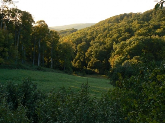Tu prebieha jelenia ruja