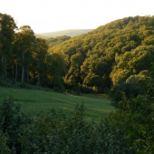 Tu prebieha jelenia ruja
