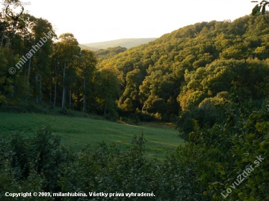 Tu prebieha jelenia ruja