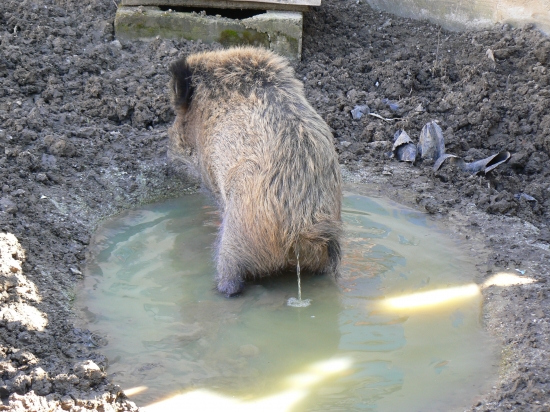 Pardón neudržal som