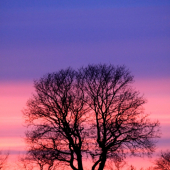 ...vcerajsi zapad...