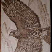 ...vysoko...20x30...