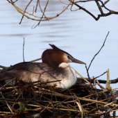 ...cakame prirastok...