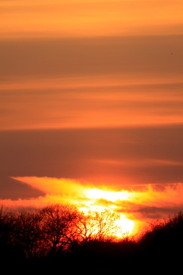 ...afrika...