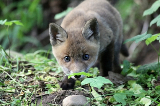 ...na hostovani u Marcelika 85...