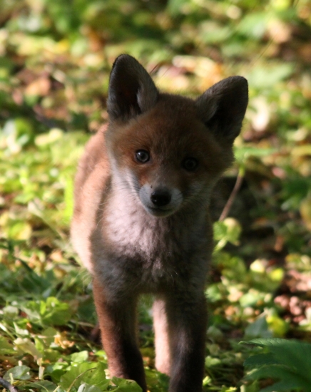 ...jedno zo siedmix...