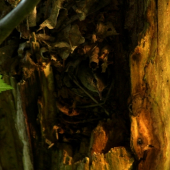 ...uspesna hostovacka c.2...