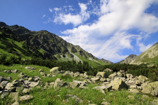 Zapadne Tatry-Rohace