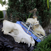 ...ked najblizsii vedia cim zijete...