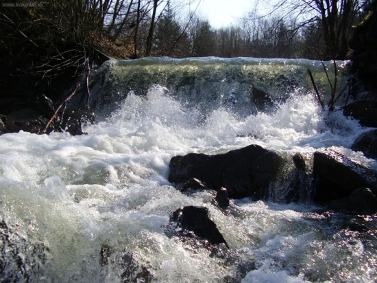 ...v pravej divocine bez ludi...