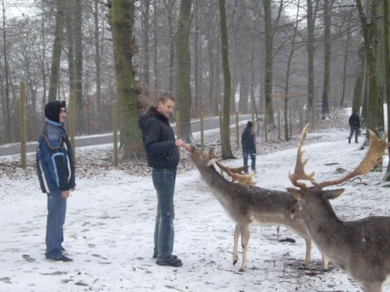 ...Orlik v Dánsku...