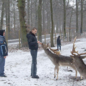 ...Orlik v Dánsku...