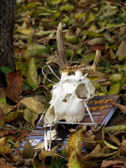 ...odmena za 2 rocny vztah :D..