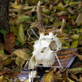 ...odmena za 2 rocny vztah :D..