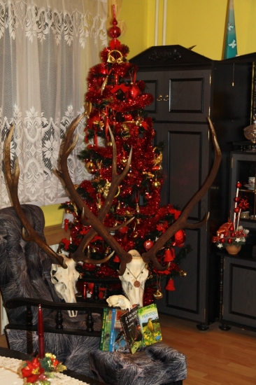 ...moje naj Vianoce 2011...