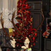 ...moje naj Vianoce 2011...