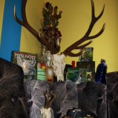 ...uz som stary pes...