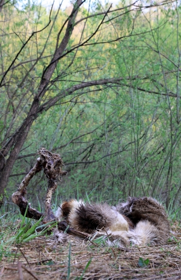 ...pomohla prezit inym...