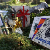 ....meniny 2012...........