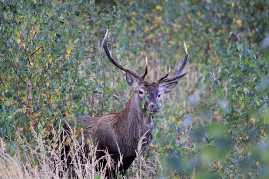 ...v jedinej moznej skulinke...